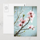 Blüten im Frühling Postkarte (Vorne/Hinten)
