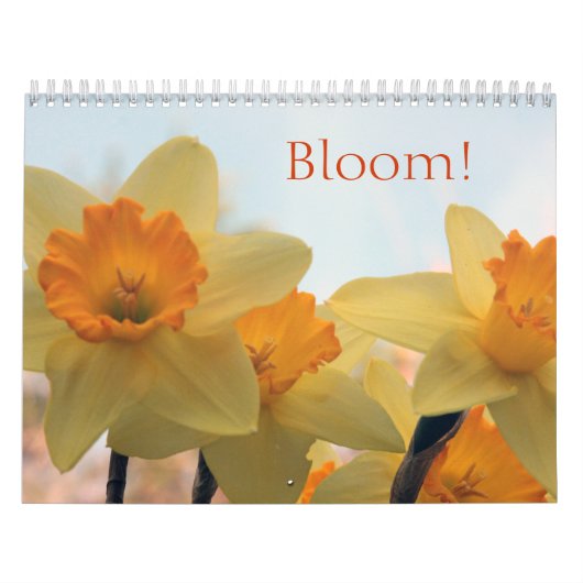 Blüten Kalender (Titelbild)