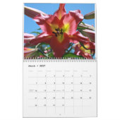 Blüten Kalender (Mär 2027)