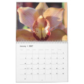 Blüten Kalender (Jan 2027)