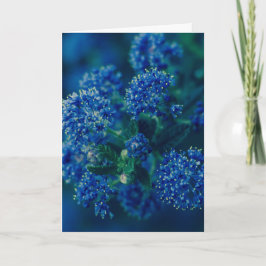 Blüten Karte