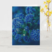Blüten Karte (Gelbe Blume)
