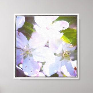 Blüten Leinwanddruck