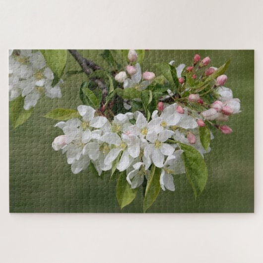 Blüten mit rosa puzzle (Horizontal)