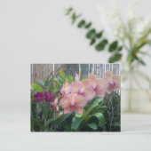 Blüten, Orchideen Postkarte (Stehend Vorderseite)