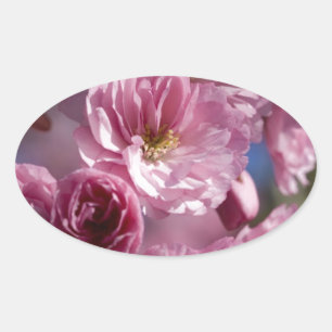 Blüten Ovaler Aufkleber