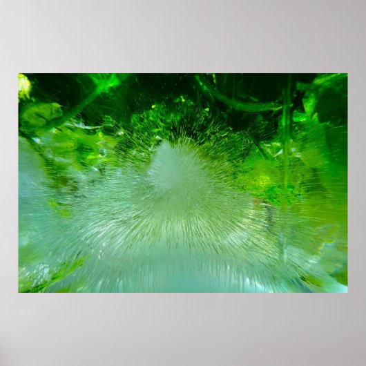 Blüten, Poster (Vorne)