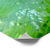 Blüten, Poster (Ecke)