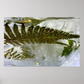 Blüten, Poster (Vorne)