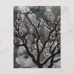 Blüten Postkarte