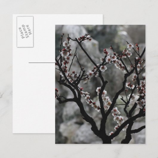 Blüten Postkarte (Vorne/Hinten)