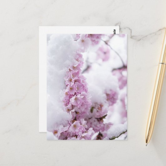 Blüten Postkarte (Vorderseite/Rückseite Beispiel)