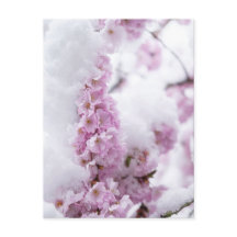 Blüten Postkarte