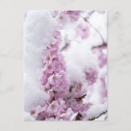 Blüten Postkarte