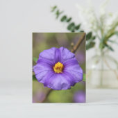 Blüten Postkarte (Stehend Vorderseite)