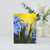 Blüten Postkarte (Stehend Vorderseite)