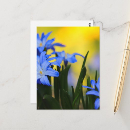 Blüten Postkarte (Vorderseite/Rückseite Beispiel)