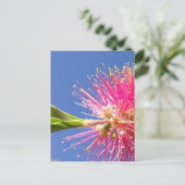 Blüten Postkarte (Stehend Vorderseite)
