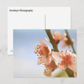 Blüten Postkarte (Vorne/Hinten)