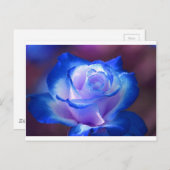 Blüten Reben Blütenblätter Rose Blume Blume blaue Postkarte (Vorne/Hinten)