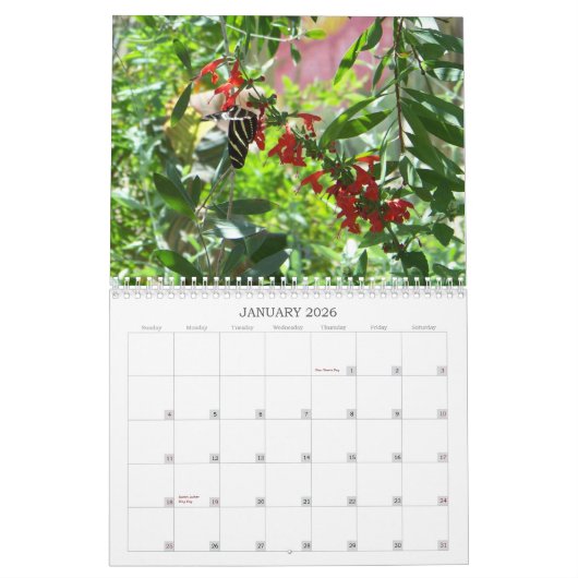 Blüten-und der Schmetterlings-2011 Kalender (Jan 2026)