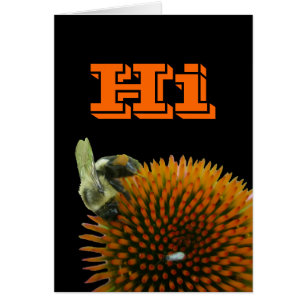 Blüten- und Östlich-Tischlerbienenartikel