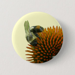 Blüten- und Östlich-Tischlerbienenartikel Button