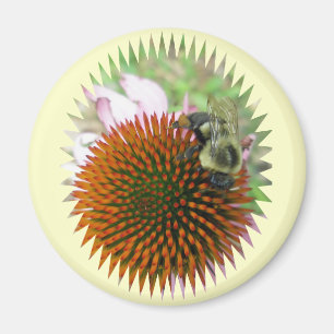 Blüten- und Östlich-Tischlerbienenartikel Magnet