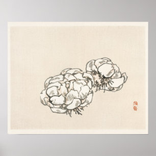 Blüten von Kōno Bairei (1844-1895) Poster