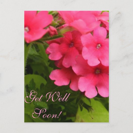 Blüten werden bald gut postkarte (Vorderseite)