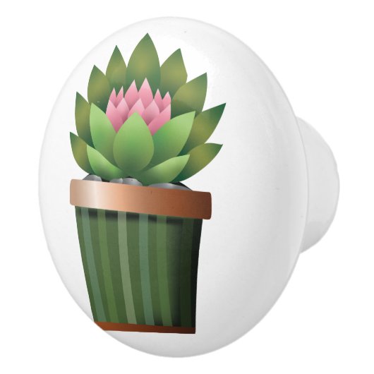 Blütenaeonium Keramikknauf (Rechts)