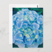 Blütenbaby Postkarte (Vorne/Hinten)