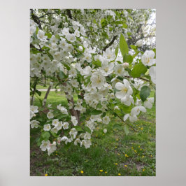 Blütenbänder Poster