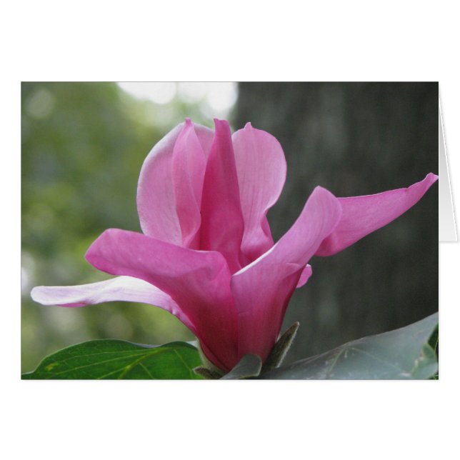 Blütenbaum (Vorderseite (Horizontal))