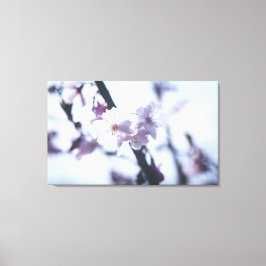 Blütenbaum Leinwanddruck