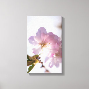 Blütenbaum Leinwanddruck