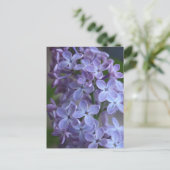 Blütenbaum Lilas Postkarte (Stehend Vorderseite)