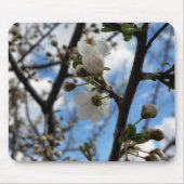 Blütenbaum Mousepad (Vorne)