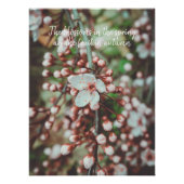 Blütenbaum Poster (Vorderseite)