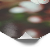 Blütenbaum Poster (Ecke)