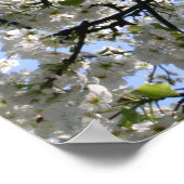 Blütenbaum Poster (Ecke)