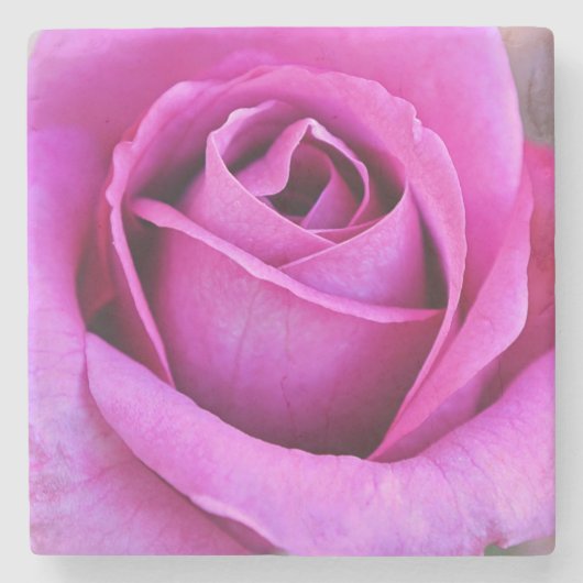 Blütenblätter der rosa Rose Blumen Kunst Untersetz Steinuntersetzer (Vorderseite)