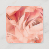 Blütenblätter in zartem, blassrosa Foto Quadratische Visitenkarte (Rückseite)