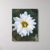 Blütenblätter Leinwanddruck (Vorderseite)