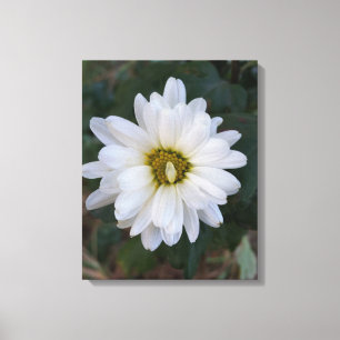 Blütenblätter Leinwanddruck