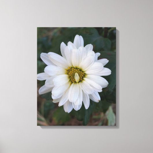 Blütenblätter Leinwanddruck (Vorderseite)