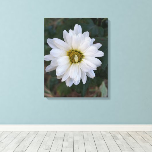 Blütenblätter Leinwanddruck (Insitu (Holzboden))