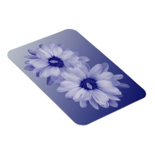 Blütenblätter Magnet