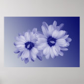 Blütenblätter Poster (Vorne)