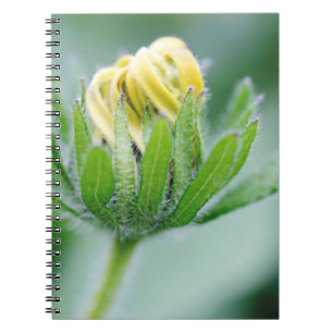 Blütenblume der Kegelblume Notizblock